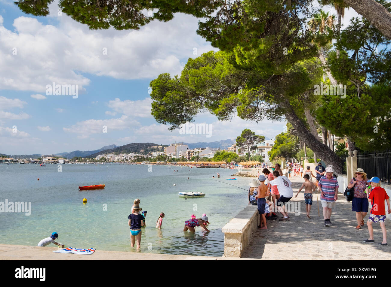 Pine walk and beach at Puerto Pollensa, Mallorca / Majorca Balearic ...