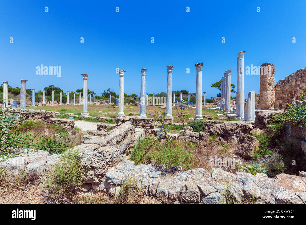 Ruins Of Salamis Famagusta Aeria North Cyprus Stock Photo Alamy Ruins Of Salamis Famagusta Aeria North Cyprus Stock Photo Alamy