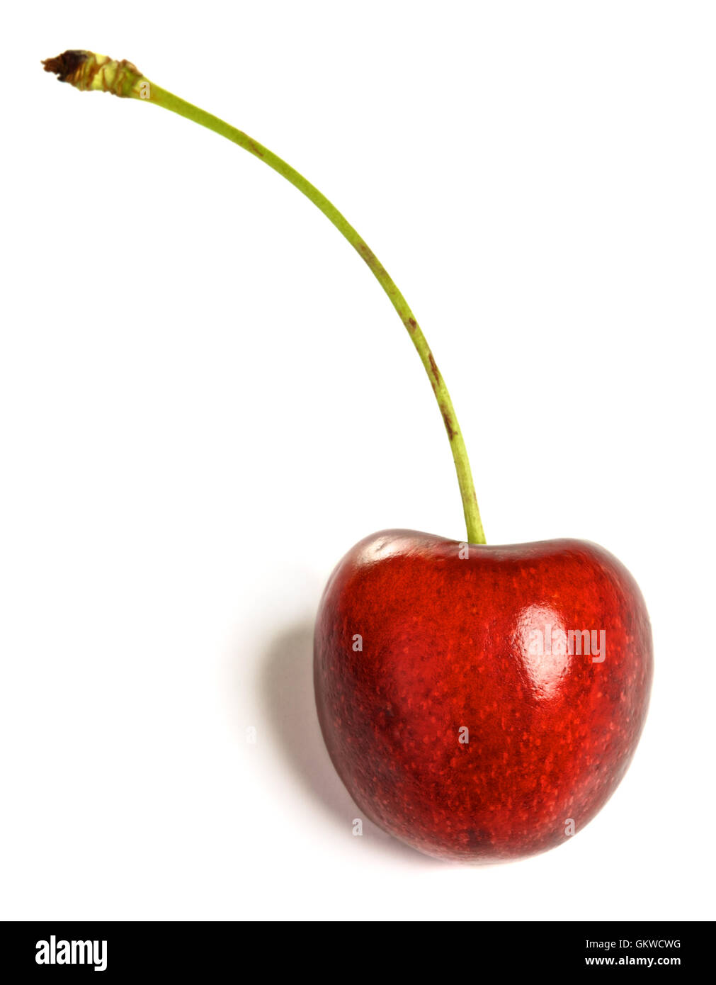 Fresh cherry fruit one hi-res stock photography and images - Alamy