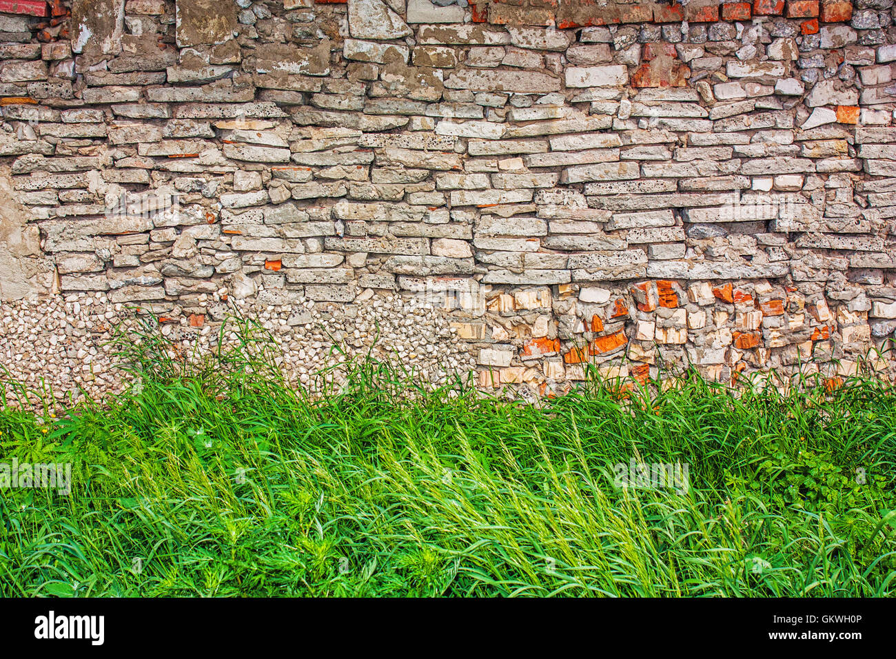 grass on a background of stone wall Stock Photo - Alamy