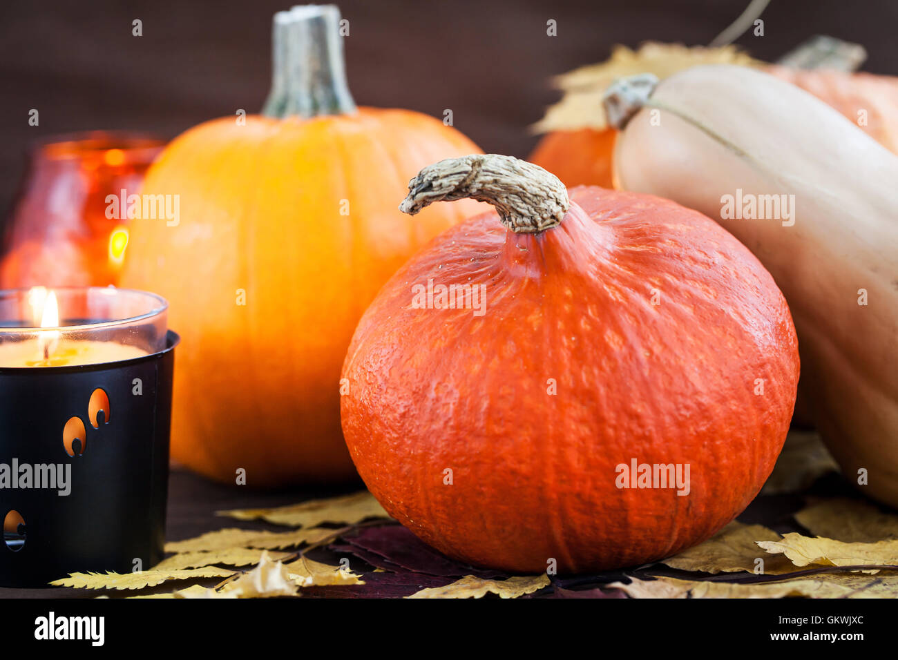 Decorative halloween pumpkins and candles Stock Photo
