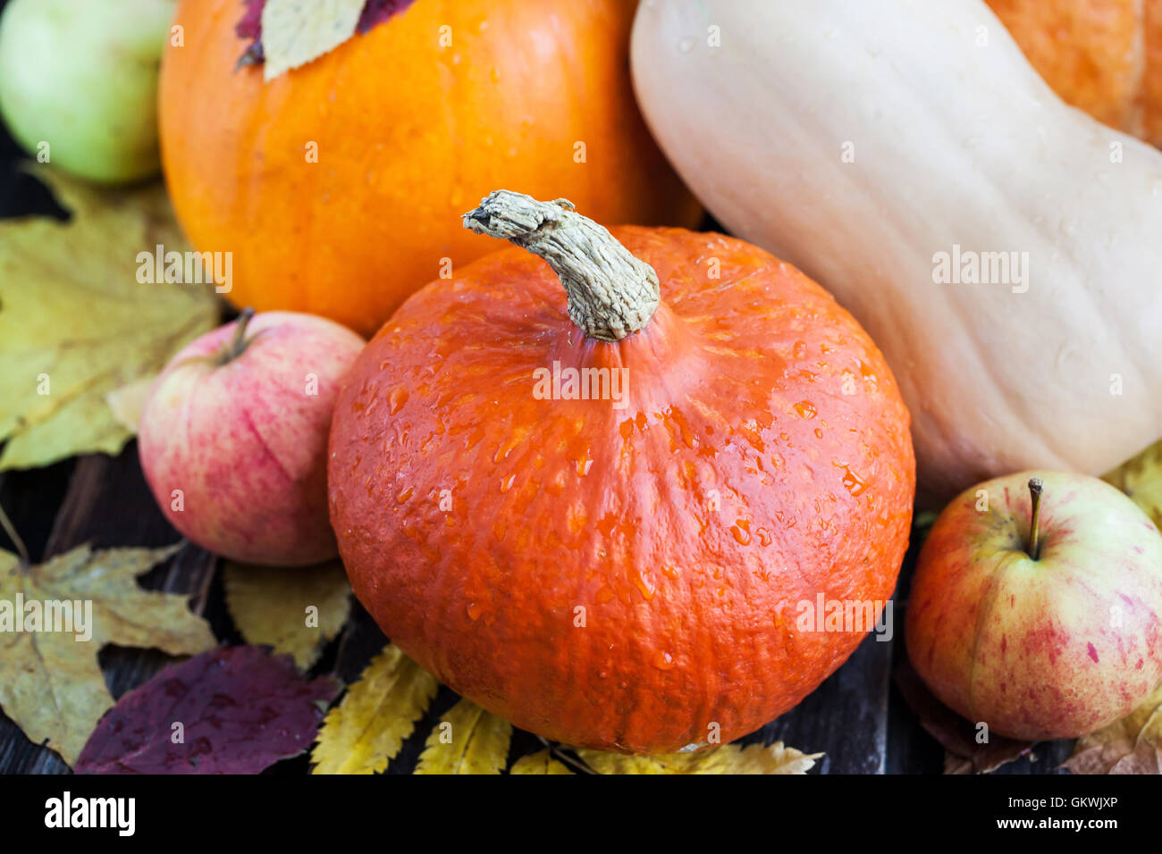 Autumn veggies hi-res stock photography and images - Alamy