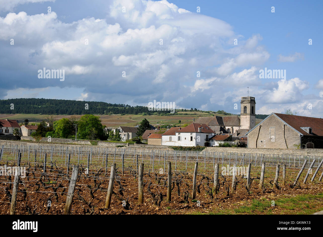 the beautiful vineyards in beaune cote de beaune where wine is produced