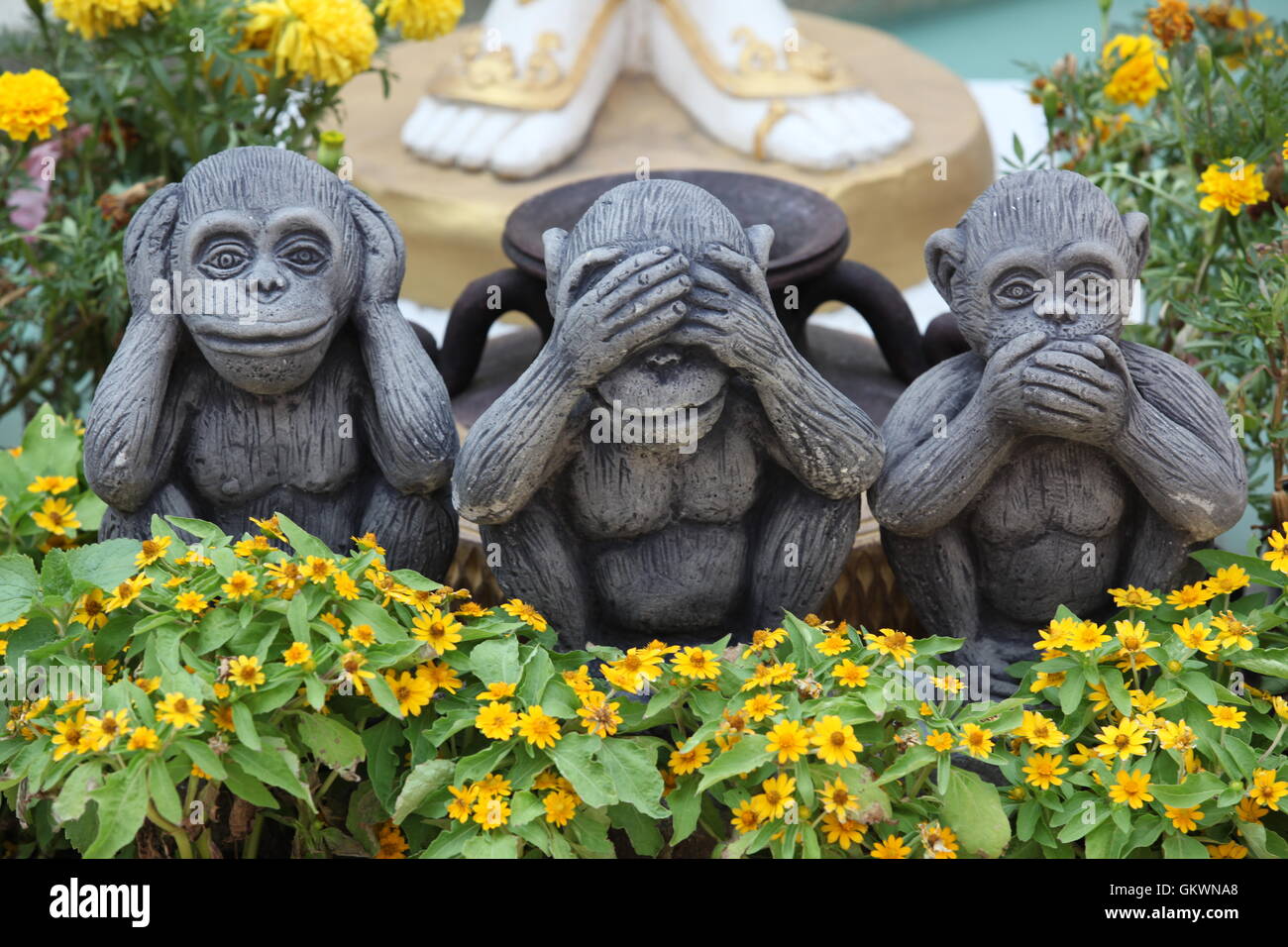 three monkys Sanzaru Stock Photo
