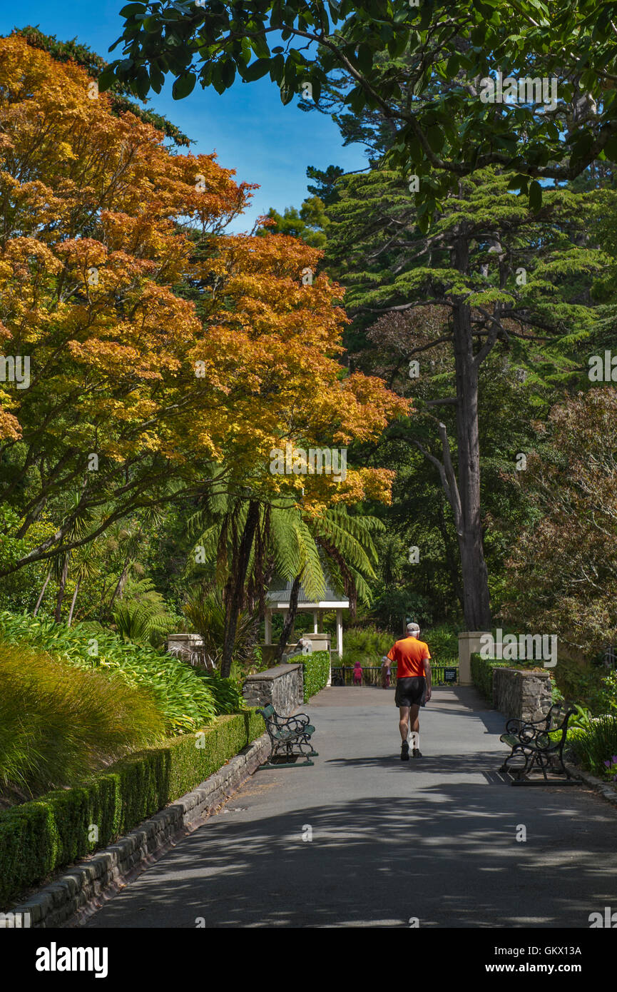 Wellington, New Zealand - March 2, 2016: Visitors resting at Wellington Botanic Garden, the largest public park in town Stock Photo