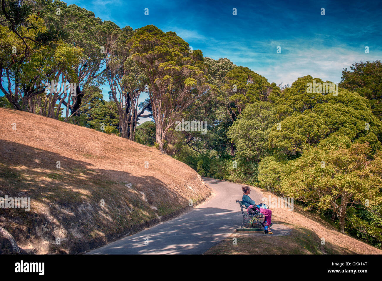Wellington, New Zealand - March 2, 2016: Local people resting at Wellington Botanic Garden, the largest public park in town Stock Photo
