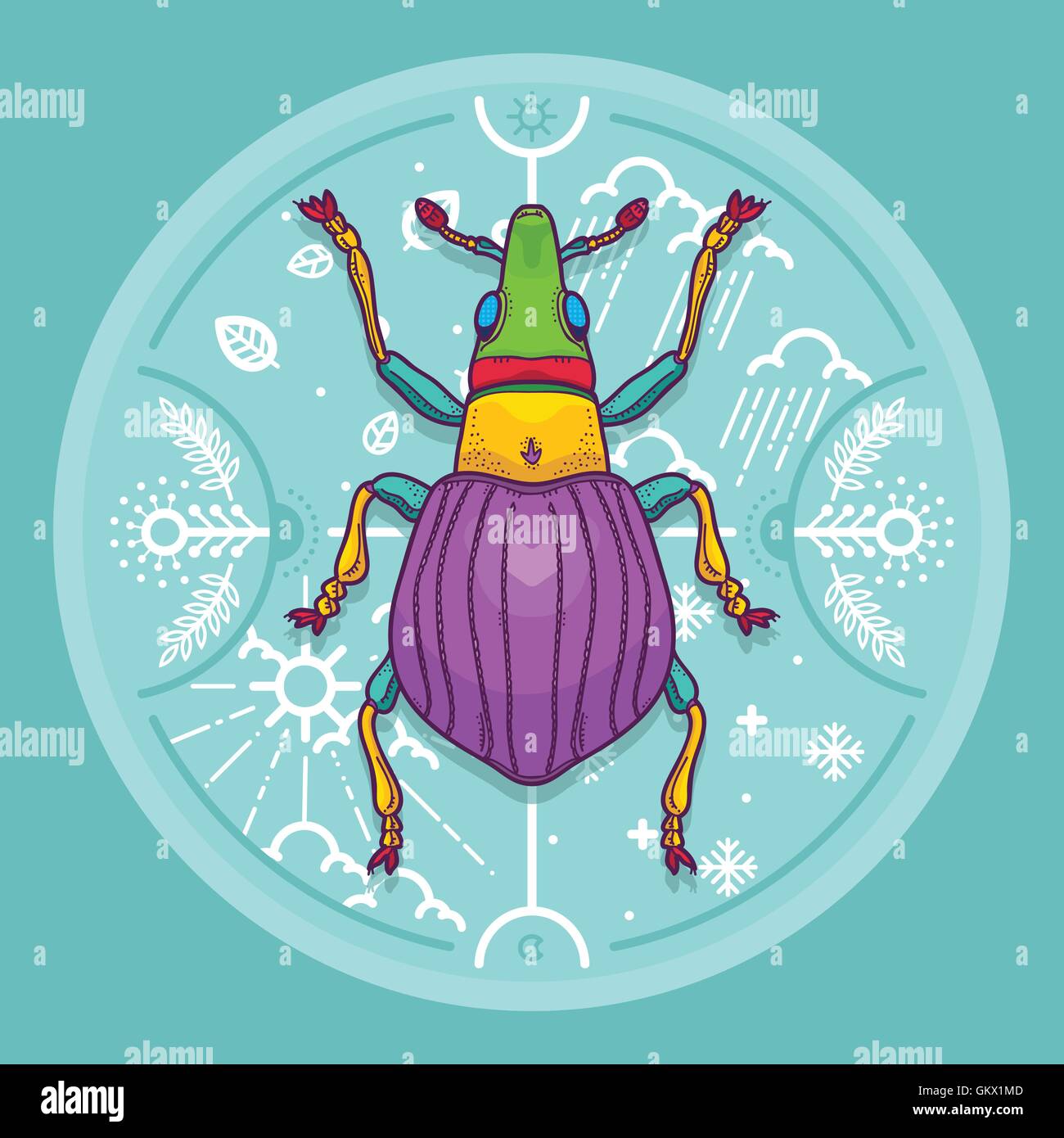 Vector Illustration of Insect Beetle Design Elements with Line Graphic. Circle life Day  Night and Four Seasons Nature Concept Stock Vector