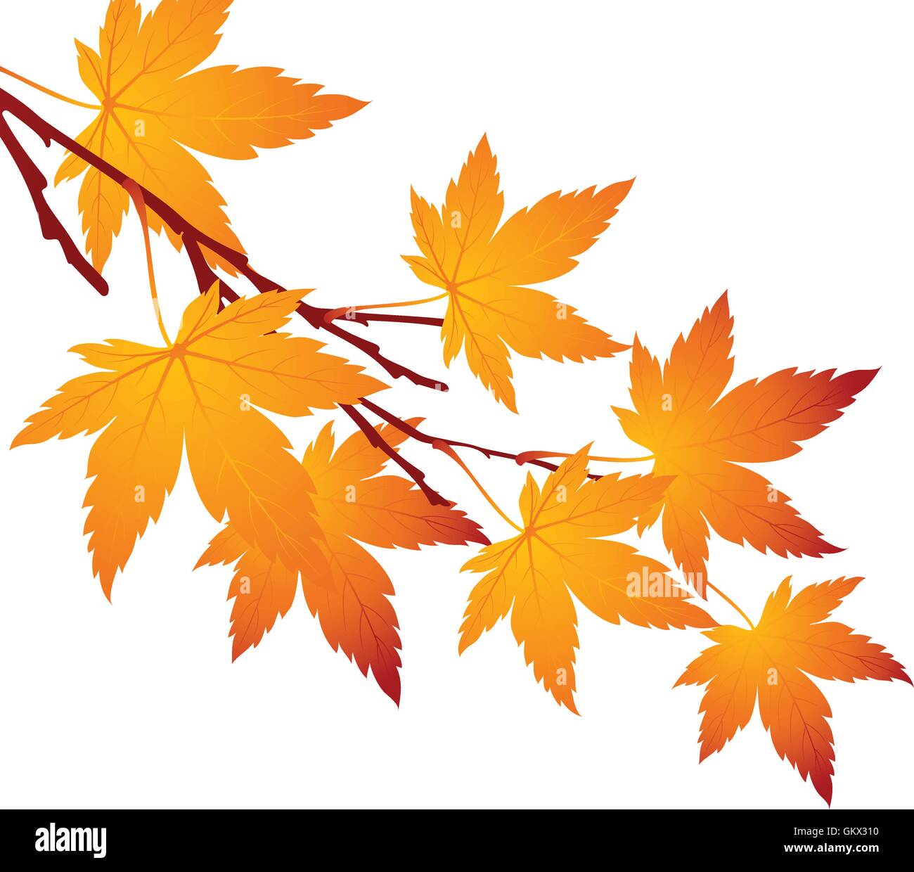 Autumn leaf maple branch. Vector illustration Stock Vector Image & Art ...