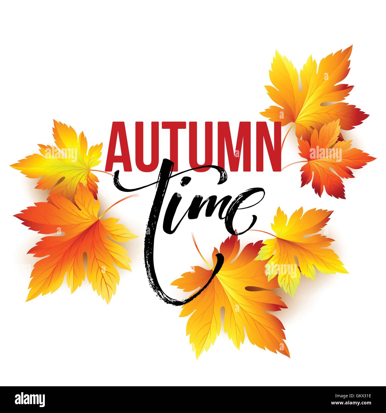 Autumn time seasonal banner design. Fall leaf. Vector illustration Stock Vector