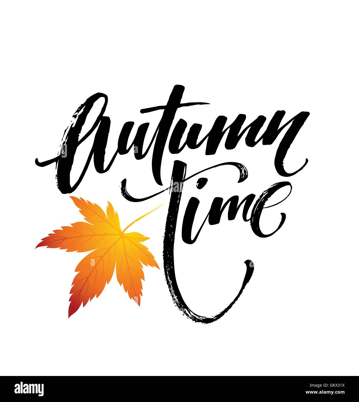 Autumn time seasonal banner design. Fal leaf. Vector illustration Stock Vector