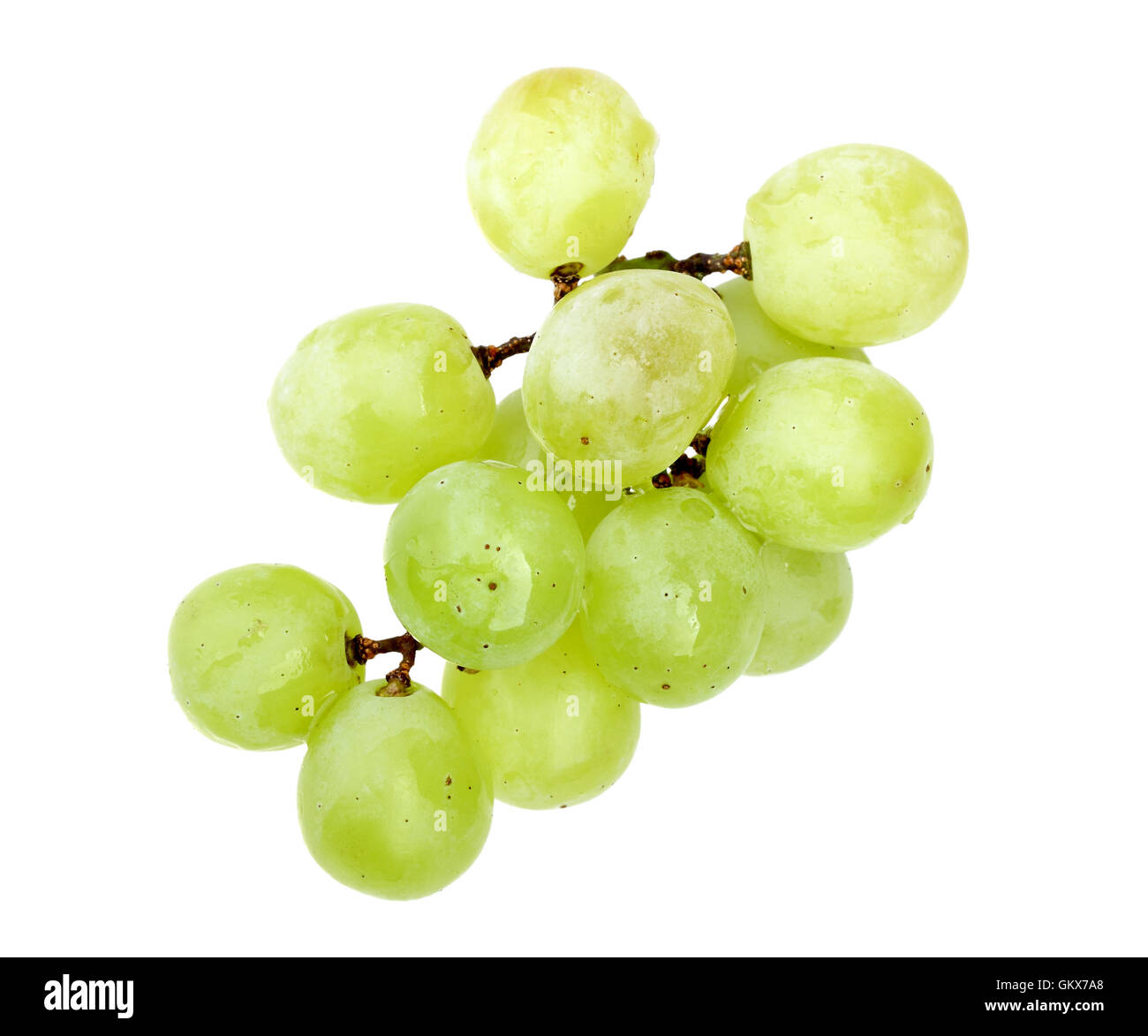 Small branch Cut Out Stock Images Pictures Alamy Small branch Cut Out Stock Images Pictures Alamy