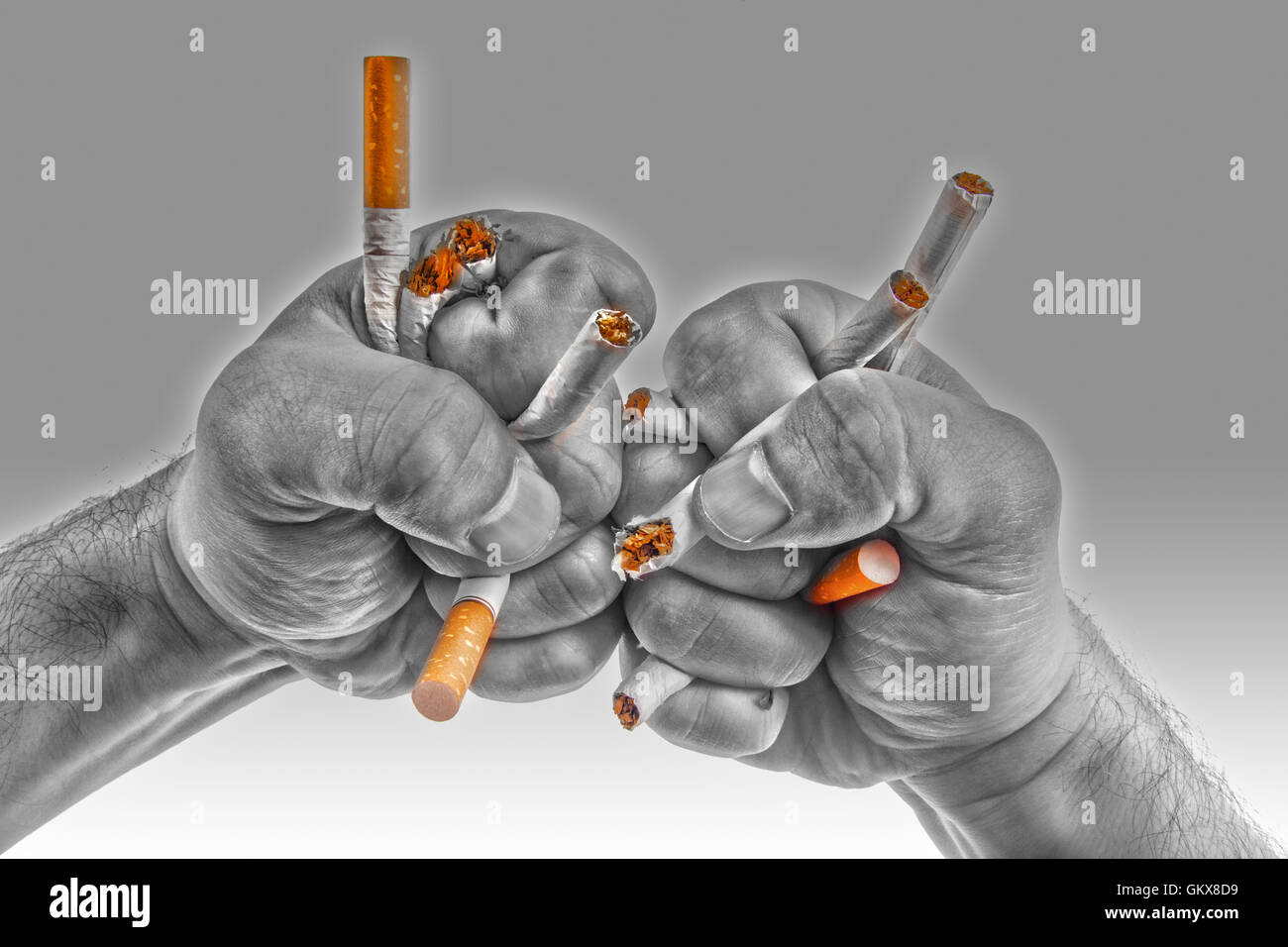 Human hands heatedly breaking cigarettes Stock Photo