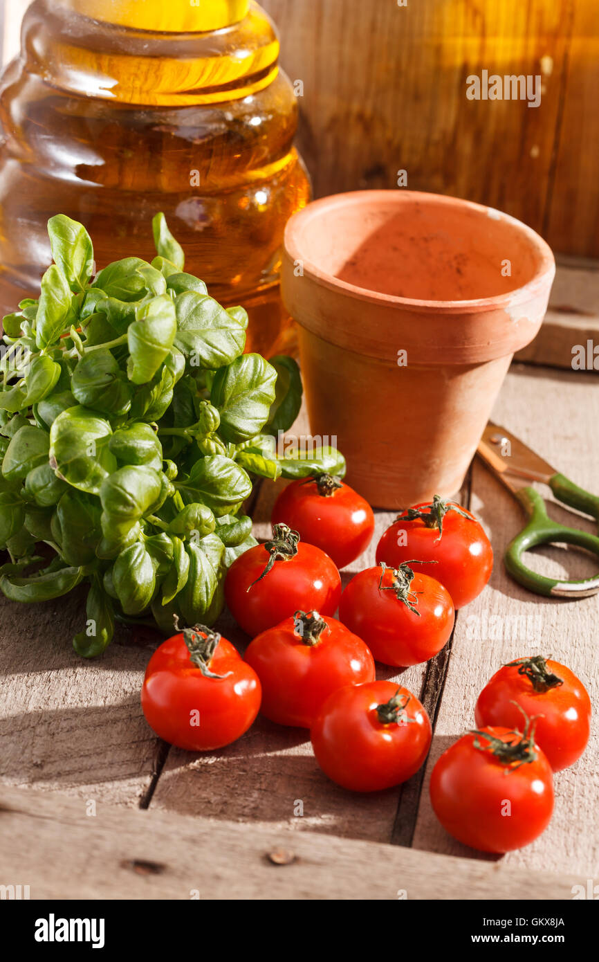 fresh cherry tomatoes Stock Photo - Alamy
