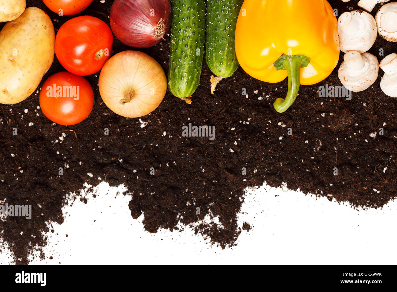 vegetables on the soil Stock Photo Alamy