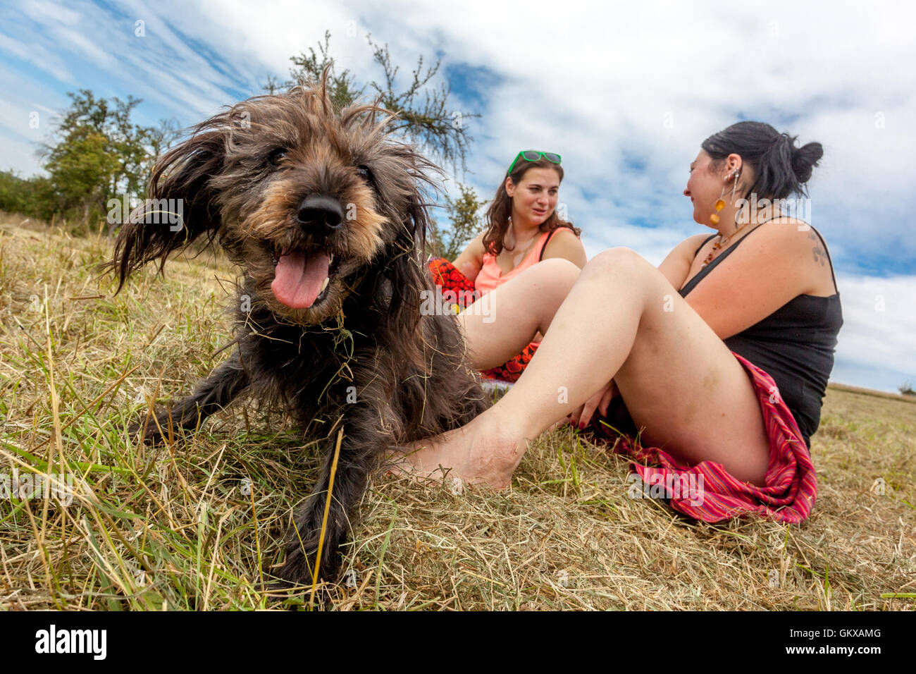 Two girls with a black dog on a summer meadow Stock Photo