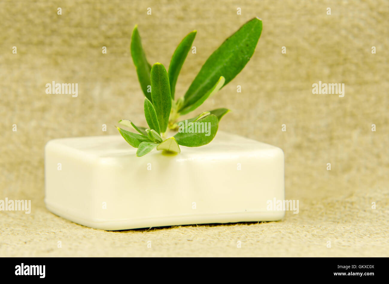 Leave soap hi-res stock photography and images - Alamy