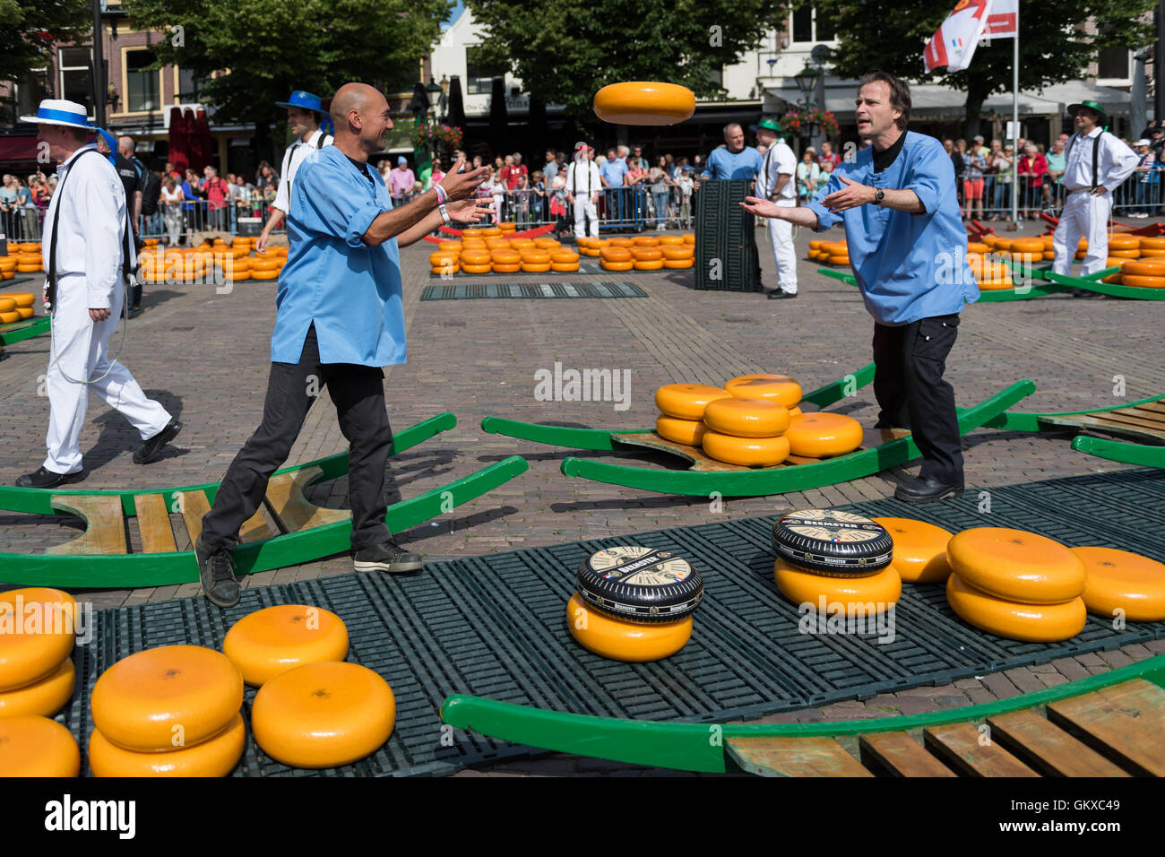 Traditional cheese carriers throwing cheese at the Alkmaar cheese