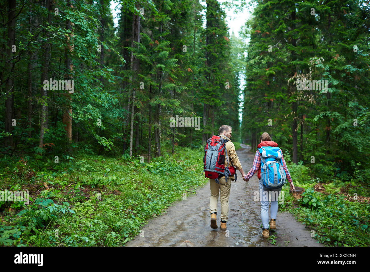 Woman walking down forest path hi-res stock photography and images - Alamy