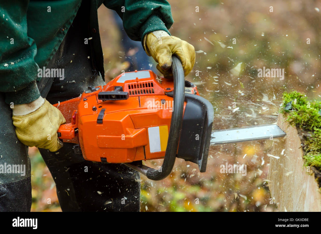 Cutting through wood chainsaw hi-res stock photography and images - Alamy
