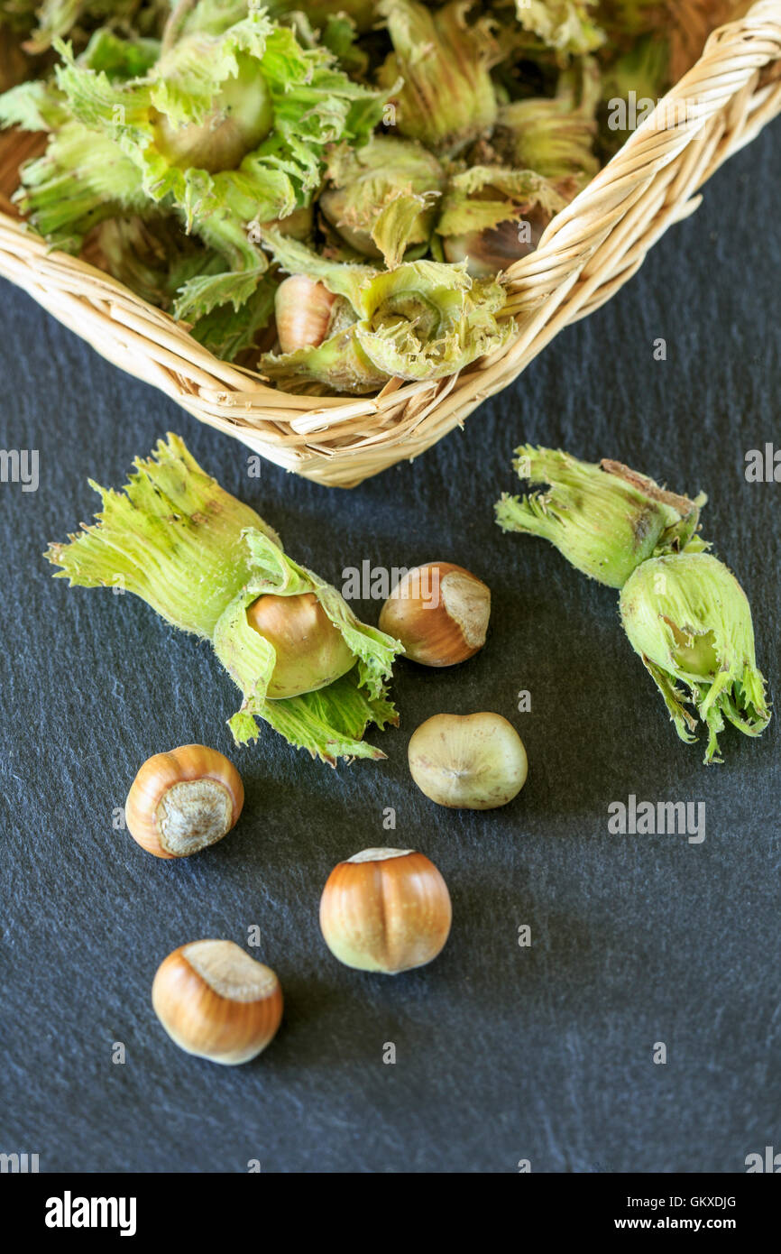 Cob Nuts Hi res Stock Photography And Images Alamy