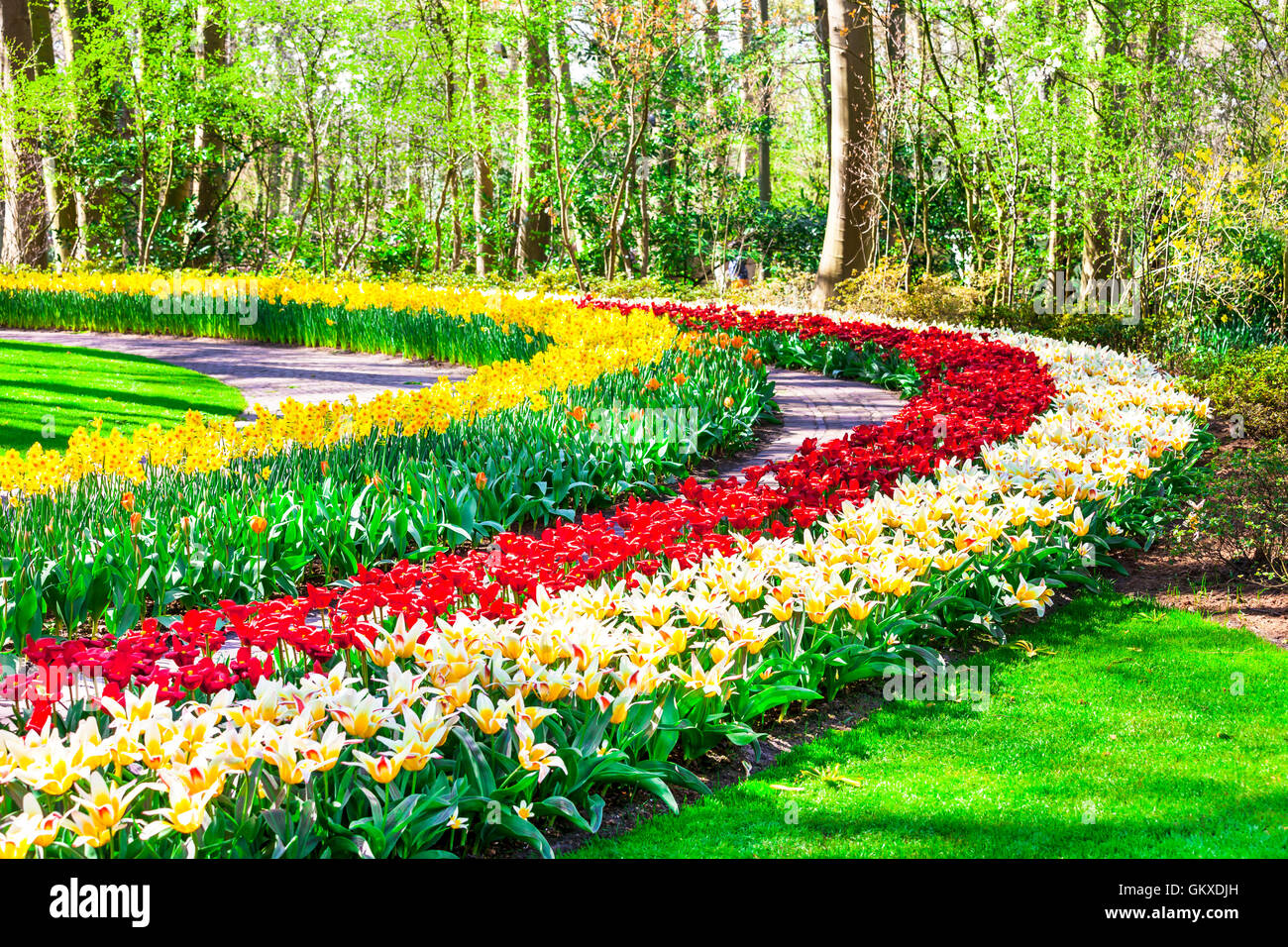 Beautiful floral park Keukenhof in Holland Stock Photo