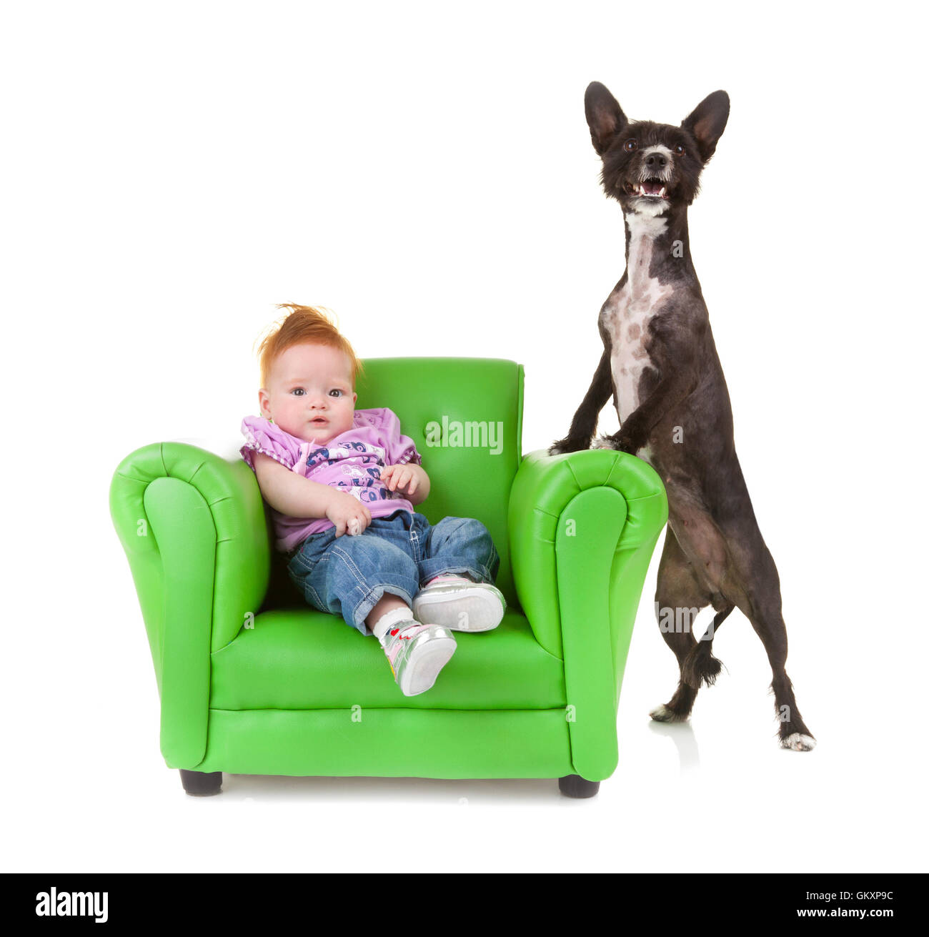 Toddler sitting on a green armchair with a little black dog. Stock Photo