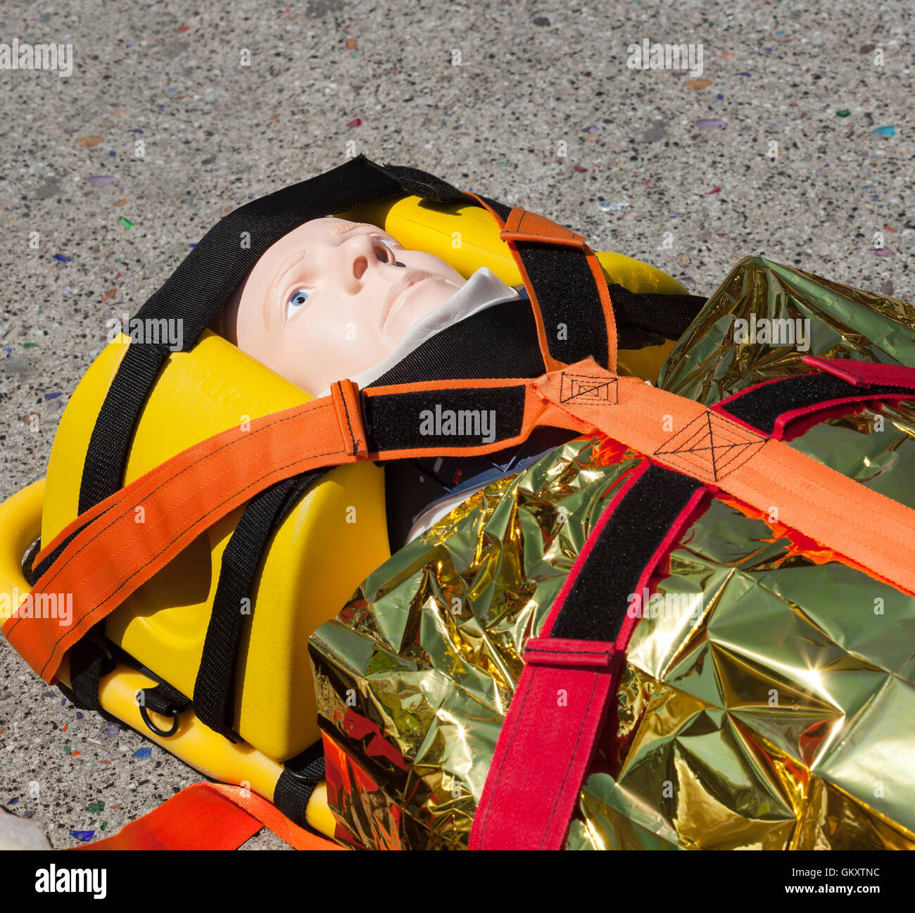 Dummy immobilized on a stretcher for transport or air rescue. Stock Photo