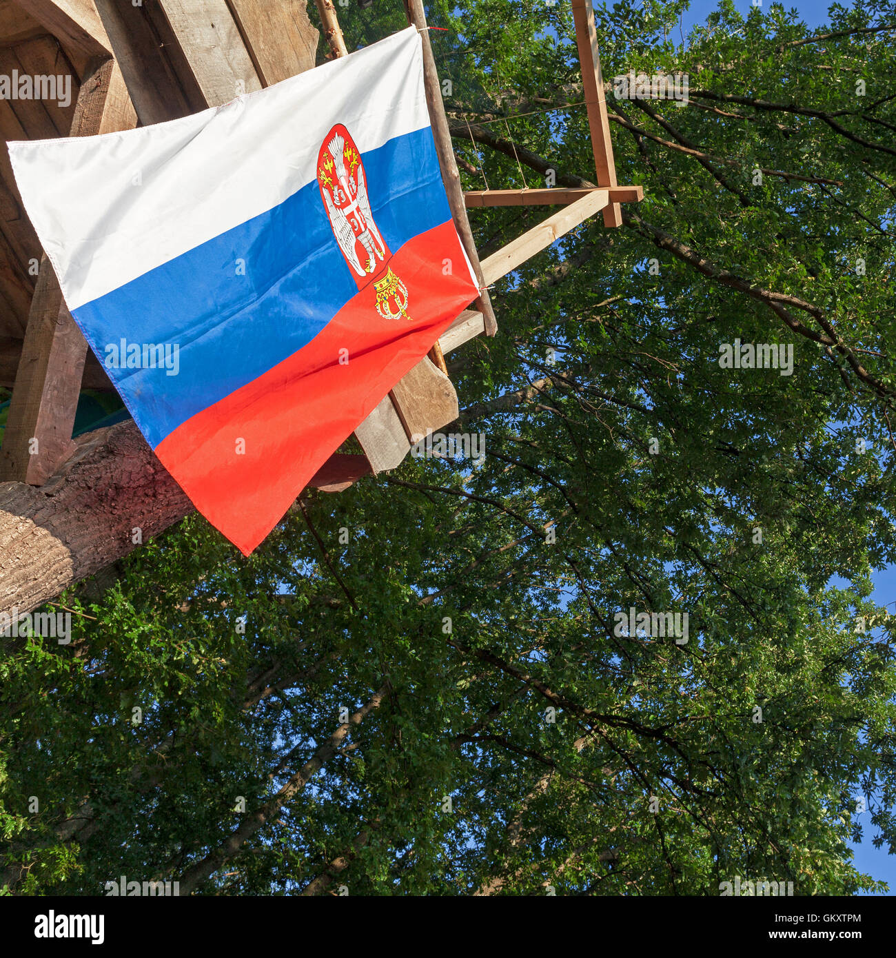 Conceptual composition representing Serbian flag, hanged under the forest tree. Stock Photo