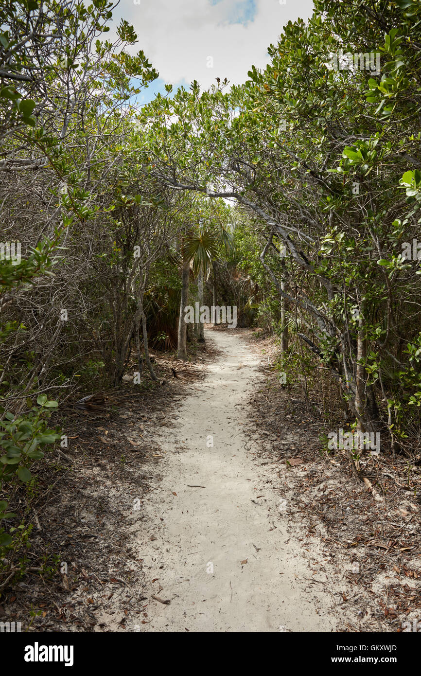 Trail at Bahia Honda State Park, Florida Stock Photo