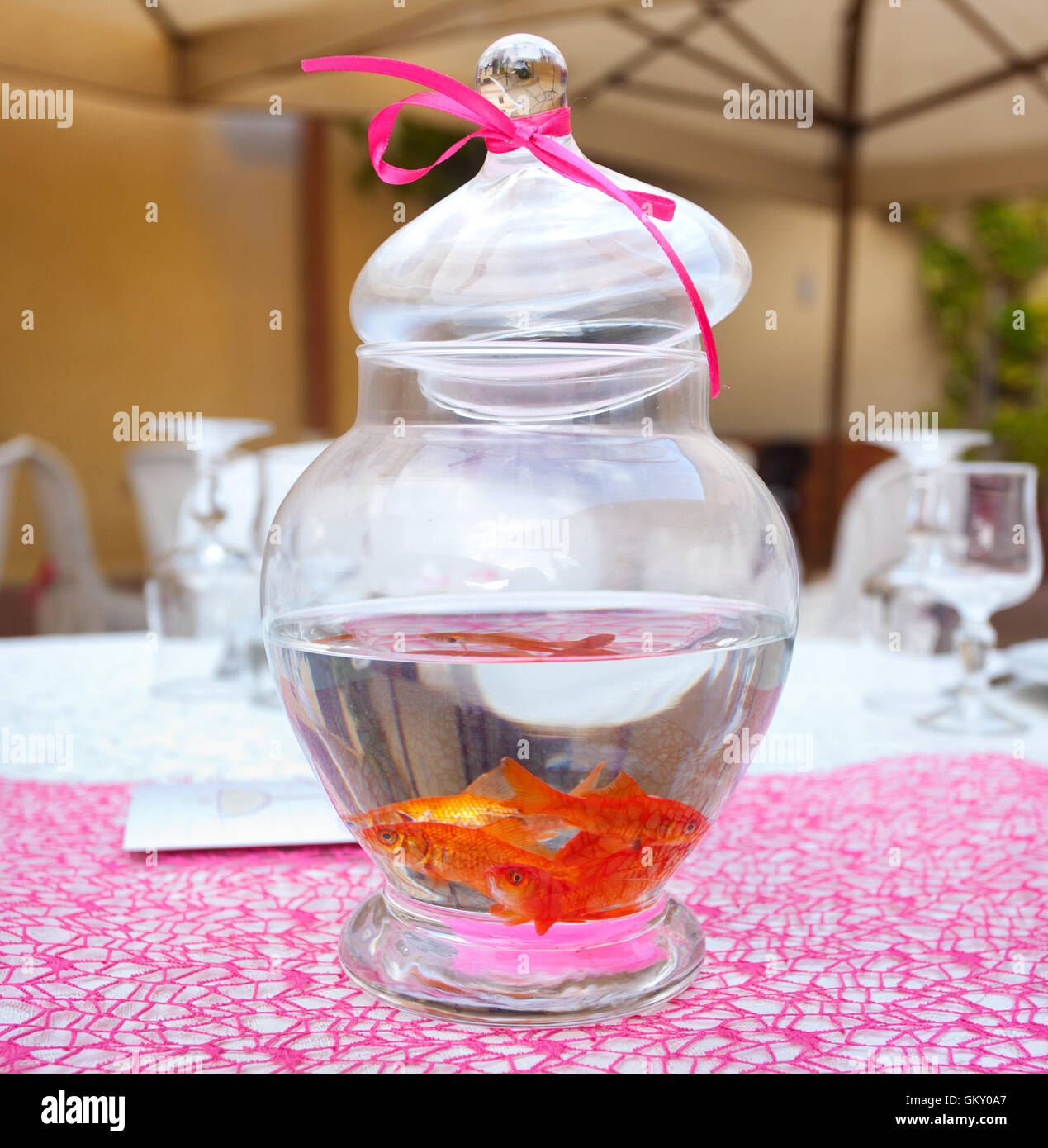 Goldfish in ampule used as centerpieces in a party Stock Photo - Alamy, image size:1269x1390