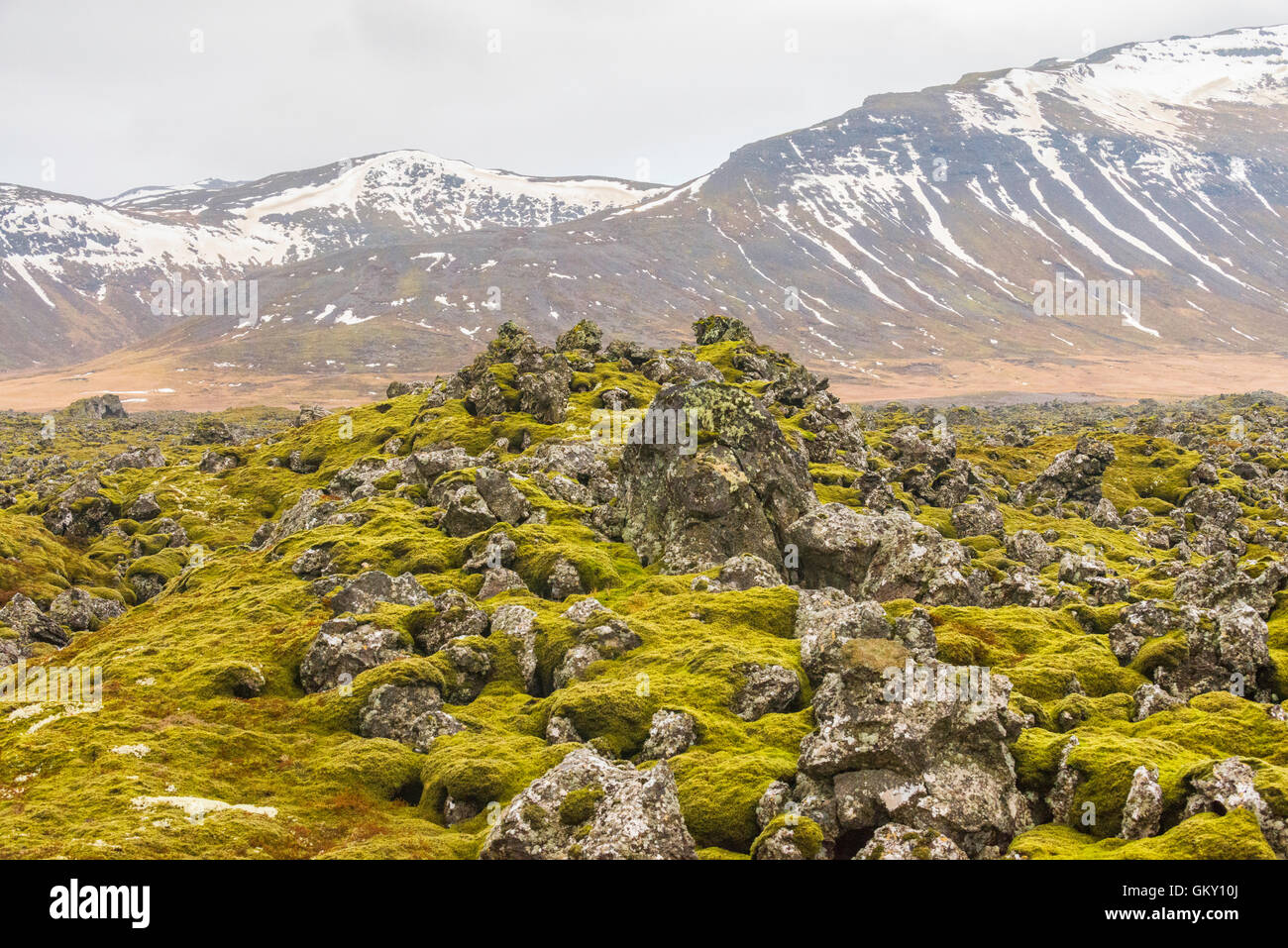 The Berserkjahraun is a 3 to 4,000 year old rocky and mossy lava field in the Snaefellsnes peninsula, western Iceland. Stock Photo