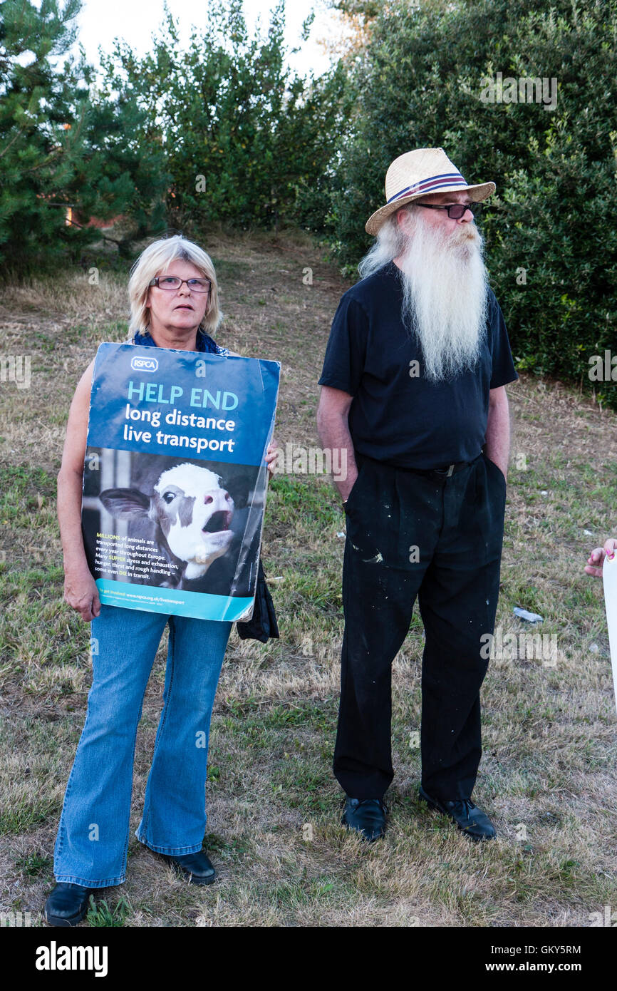 Senior oman holding placard 'Help end long distant live transport' and senior man with very long white beard standing next to her during protests at Ramsgate against live exports of animals to Europe from that port. Stock Photo