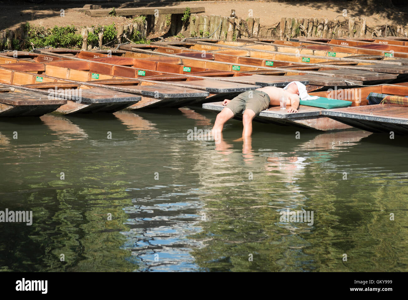 River Cam, Cambridge, UK. 24th August 2016. A punt hire chauffeur takes a break in the sun before the crowds of tourists arrive. The heatwave brought temperatures of over 30 degrees centigrade to the city. Hot weather is forecast across the south east of England today. Credit: Julian Eales/Alamy Live News Stock Photo