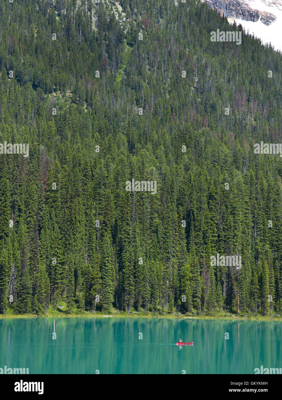 emerald-lake-landscape-british-columbia-canada-vertical-GKYKMH.jpg