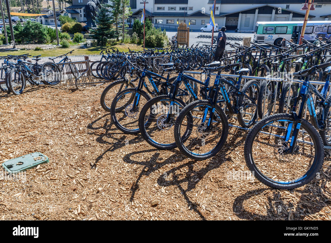 Bike Rentals In Mammoth Mountain Stock Photo 115550209 Alamy