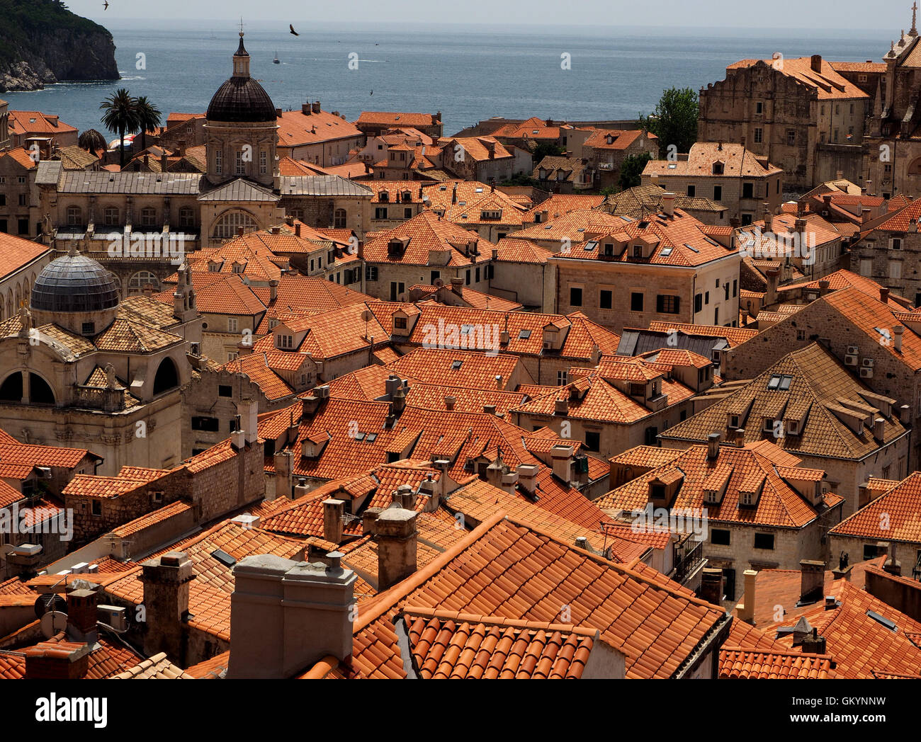 杜布羅夫尼克城牆紅屋頂全景