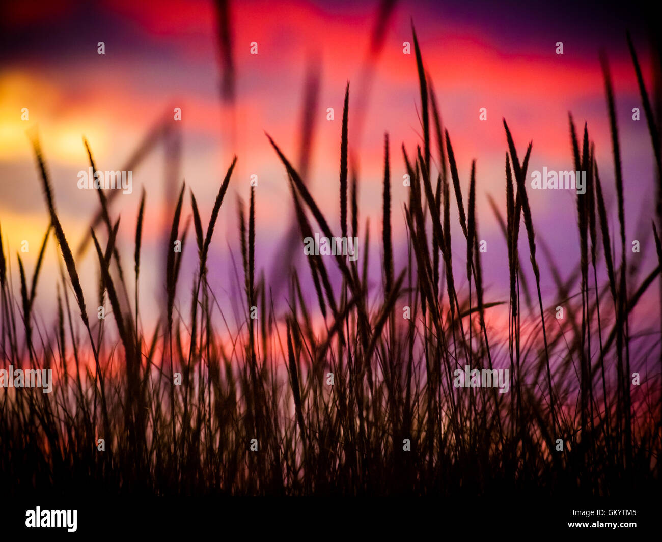White River Channel and Lighthouse Whitehall Michigan, Wabiningo