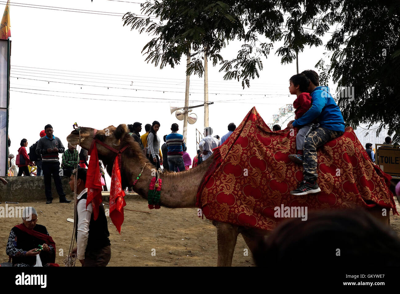 Indian family ready for  enjoying camel ride Stock Photo