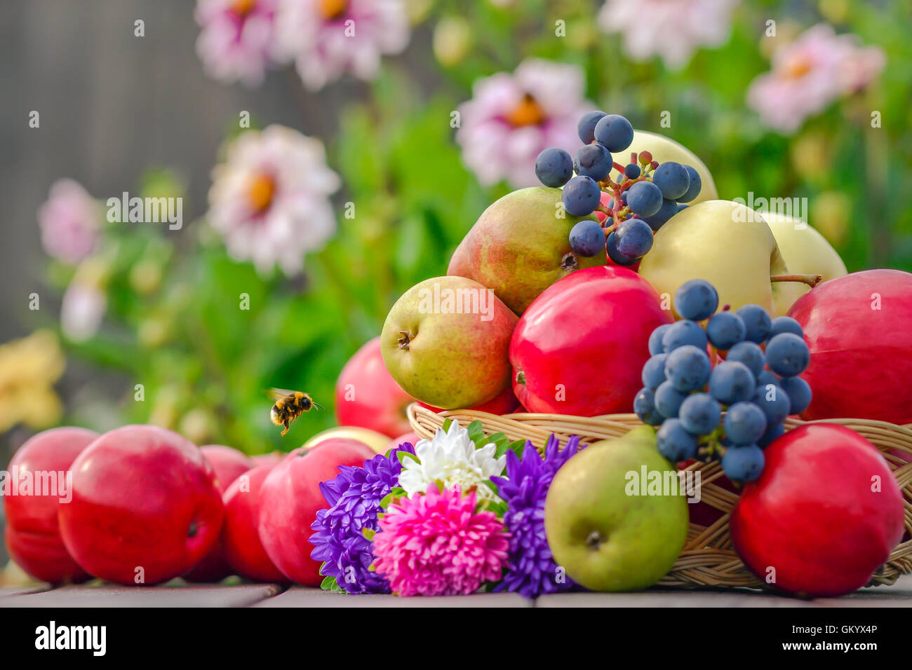 fruits, apples, grapes, summer, home garden, healthy food Stock Photo