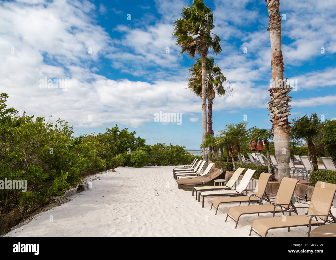 Chaise lounges on a sandy beach under palm trees Stock Photo