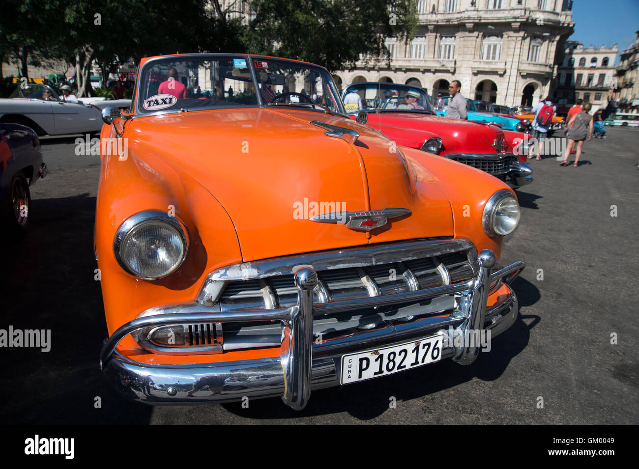 Brightly painted old 1950's American cars on display in Centro Havana for tourists to hire Habana Cuba Stock Photo