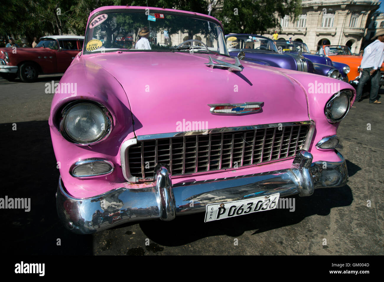 Brightly painted old 1950's American cars on display in Centro Havana