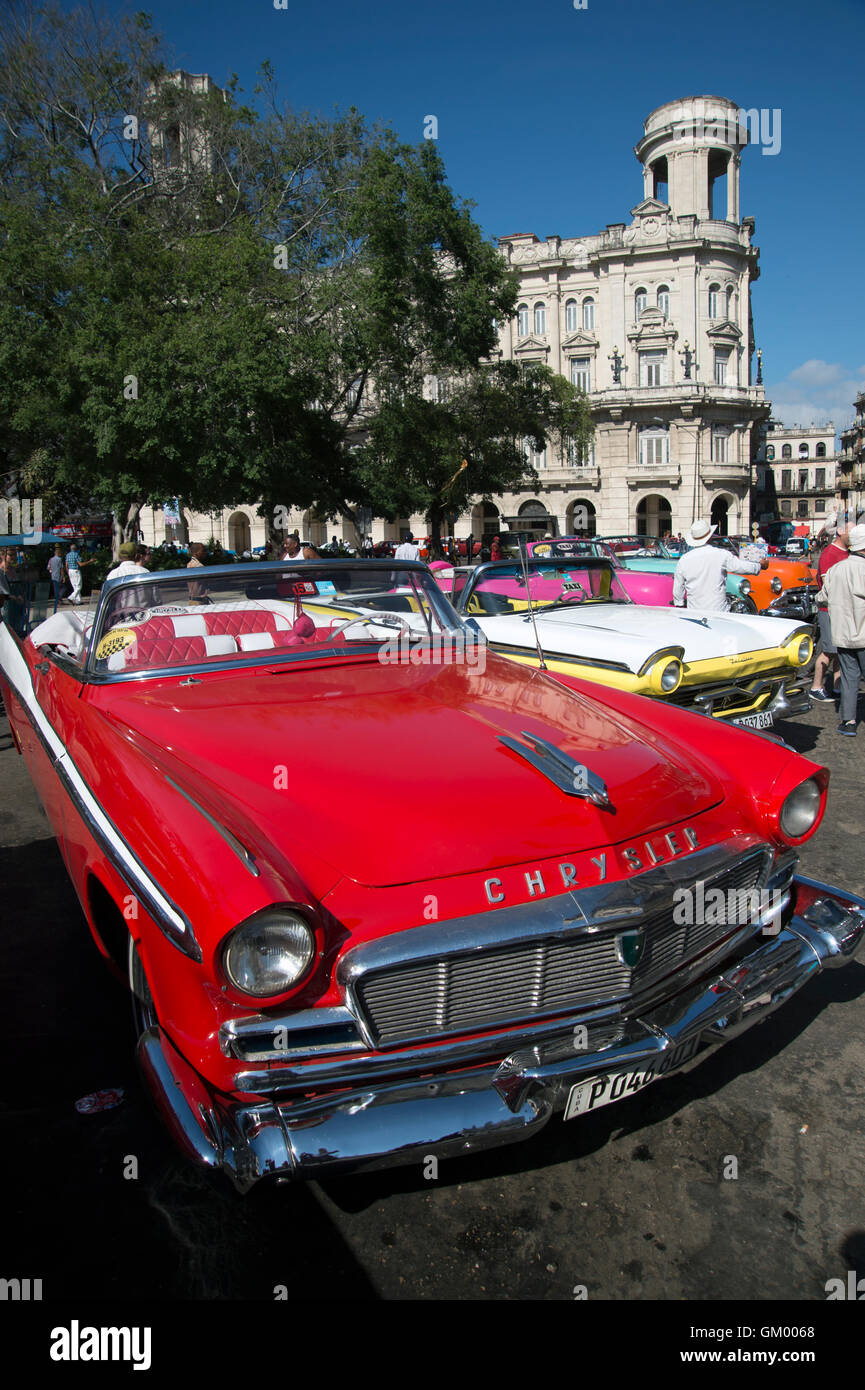 Brightly painted old 1950's American cars on display in Centro Havana for tourists to hire Habana Cuba Stock Photo