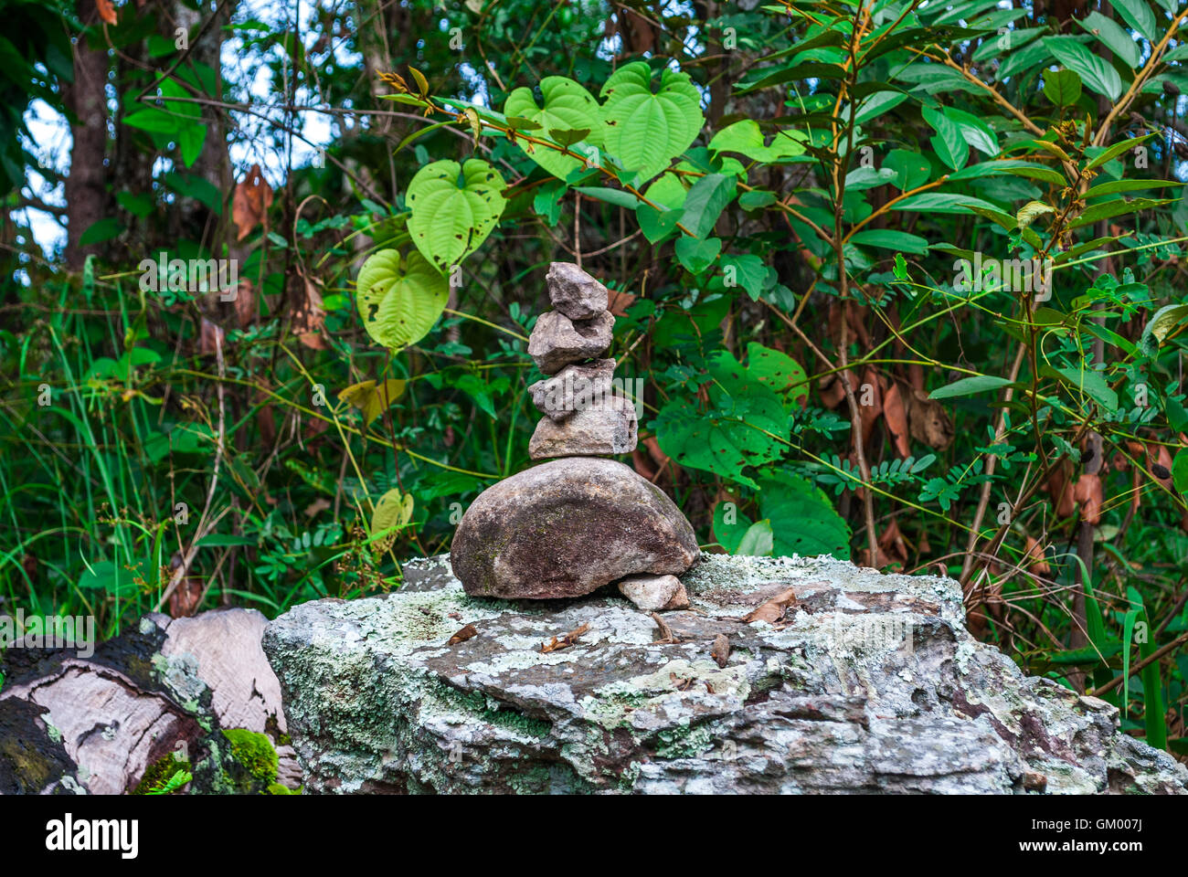 Closeup to Stack of Stone in Forest [Zen Concept] Stock Photo