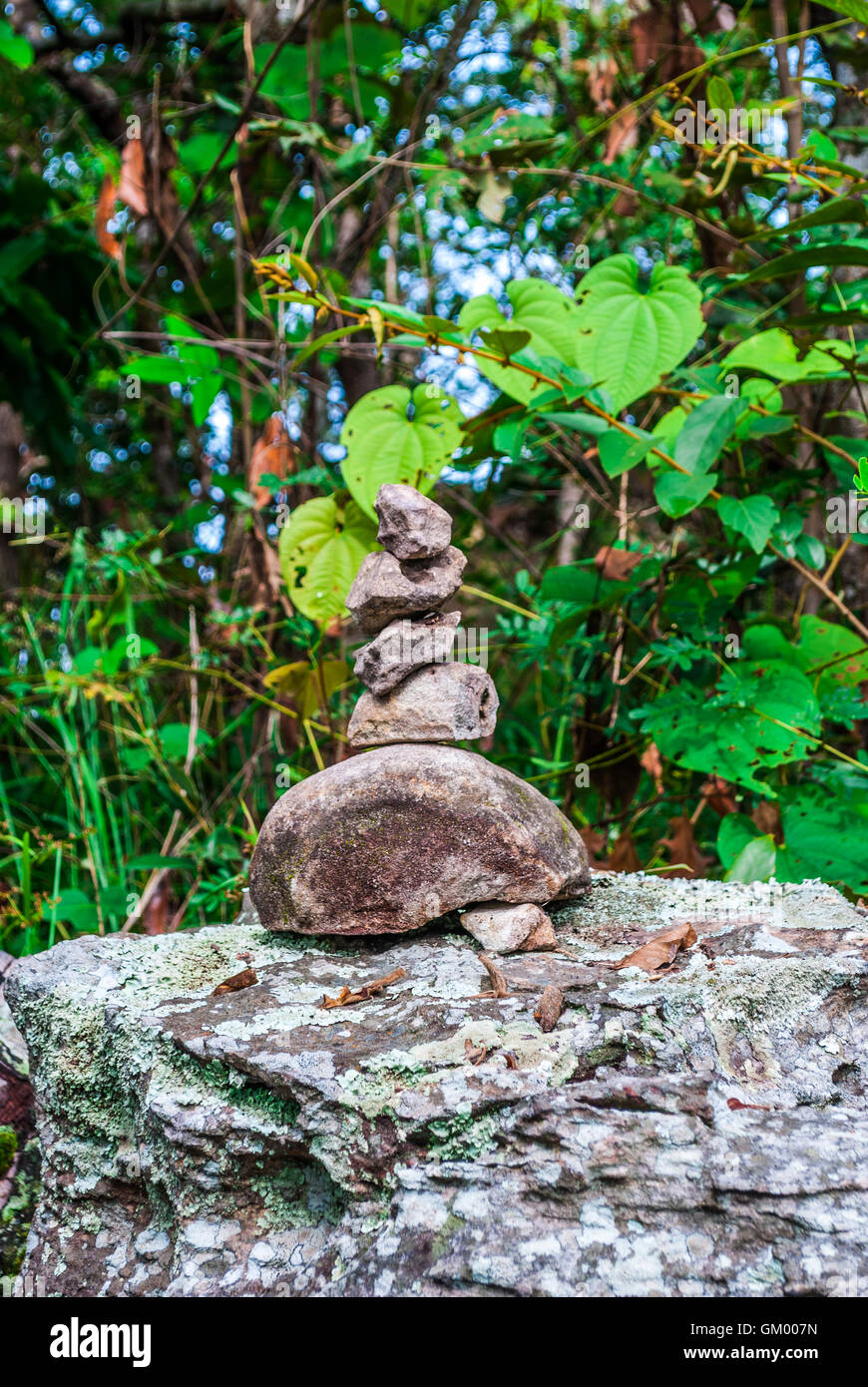 Closeup to Stack of Stone in Forest [Zen Concept] Stock Photo