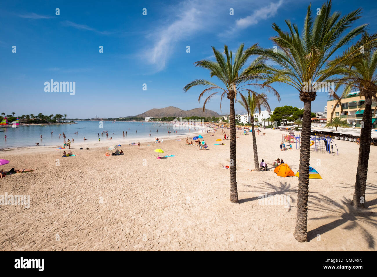 Alcudia Beach, Puerto de Alcudia, Mallorca Majorca Balearic Islands Spain  Stock Photo - Alamy
