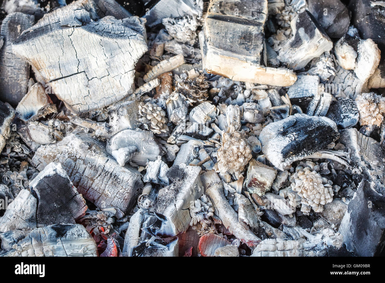 Closeup of decaying wood coals and ash in brazier Stock Photo