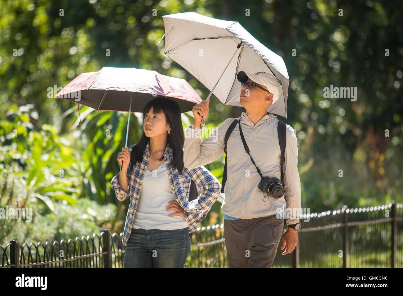 People shelter from the sun under umbrellas in St James Park, London ...