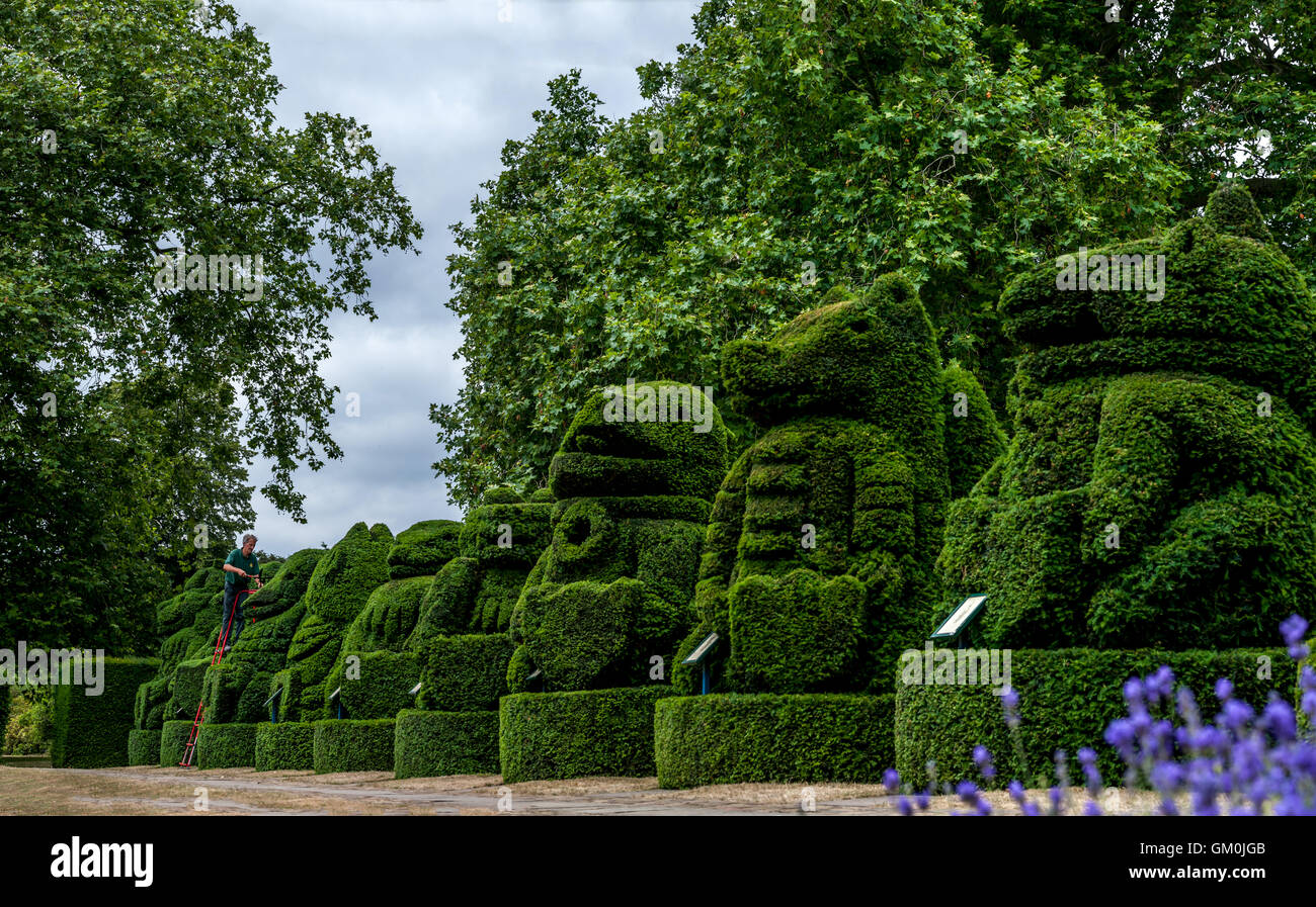 Chris Riley, Head Gardener at Hall Place, with the topiary versions of The Queen's Beasts statues of Kew Gardens, planted here t Stock Photo