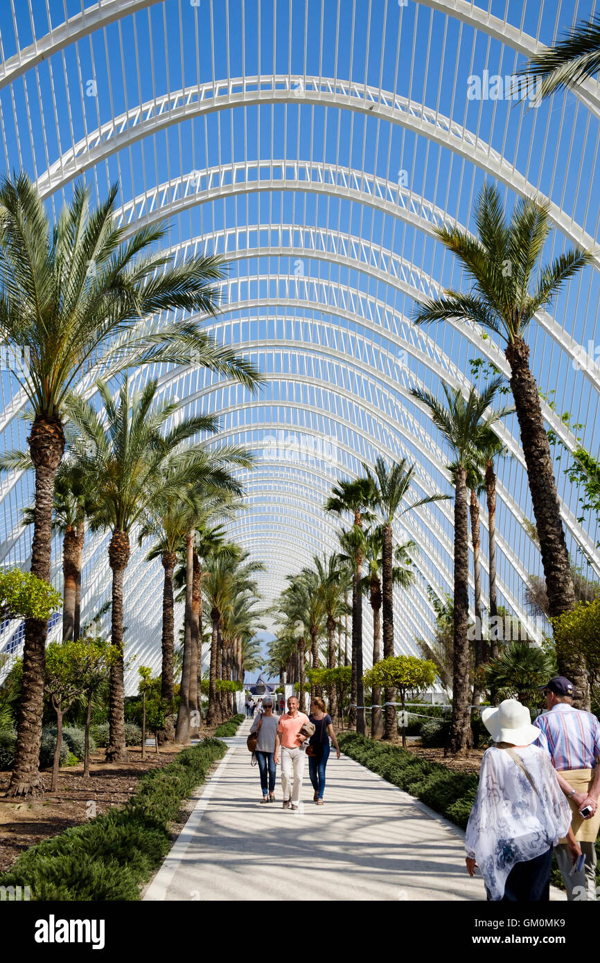 Interior of L'Umbracle at the science park in Valencia Spain Stock ...